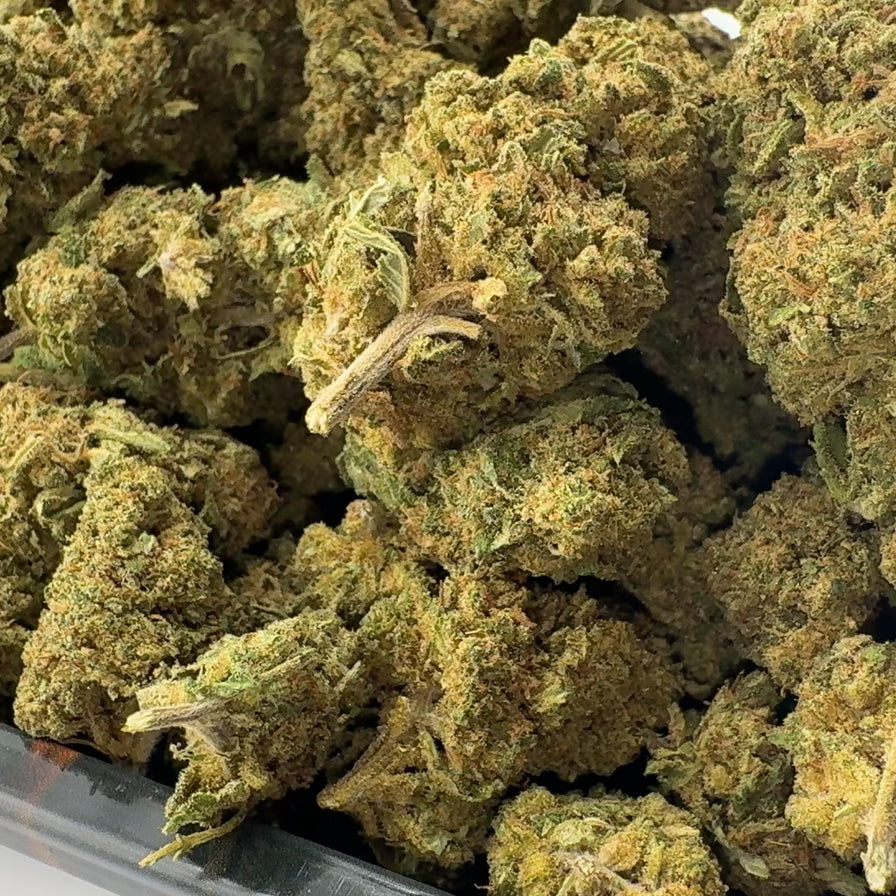 Banana Runtz Ökopack Blüten Lucky Hemp