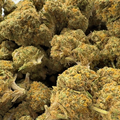 Strawberry Haze Ökopack Blüten Lucky Hemp