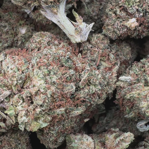 420 Mystery Strain Ökopack Set Blüten Lucky Hemp