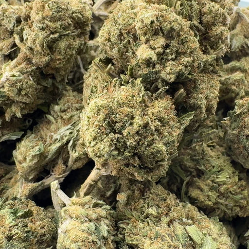 Bubba Kush Ökopack Blüten Lucky Hemp