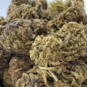 Earthquake Blüten Lucky Hemp