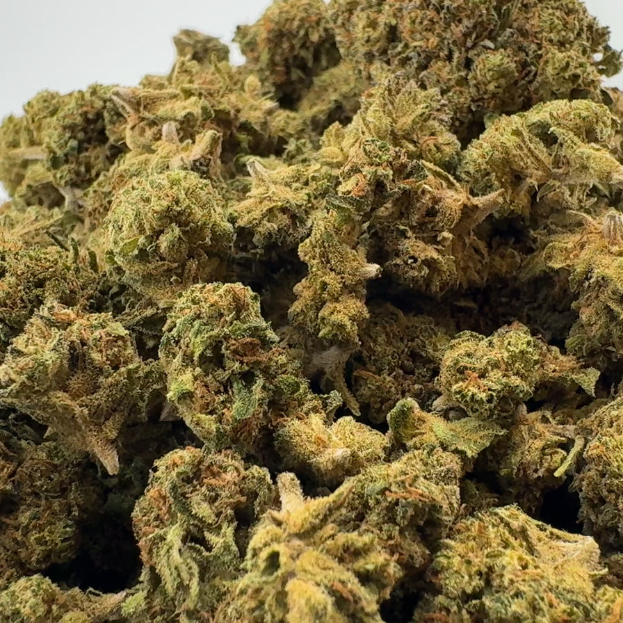 Tropical Haze Ökopack Blüten Lucky Hemp