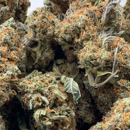 California Blueberry 3,5g Limited Pack Blüten Lucky Hemp