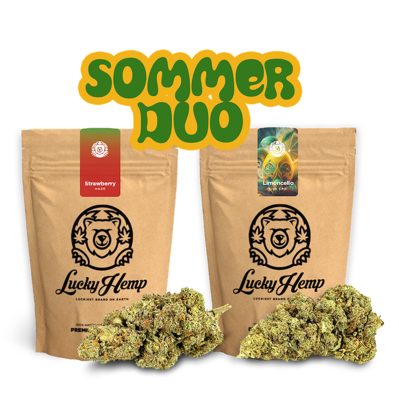 Sommer Duo Blüten Lucky Hemp   