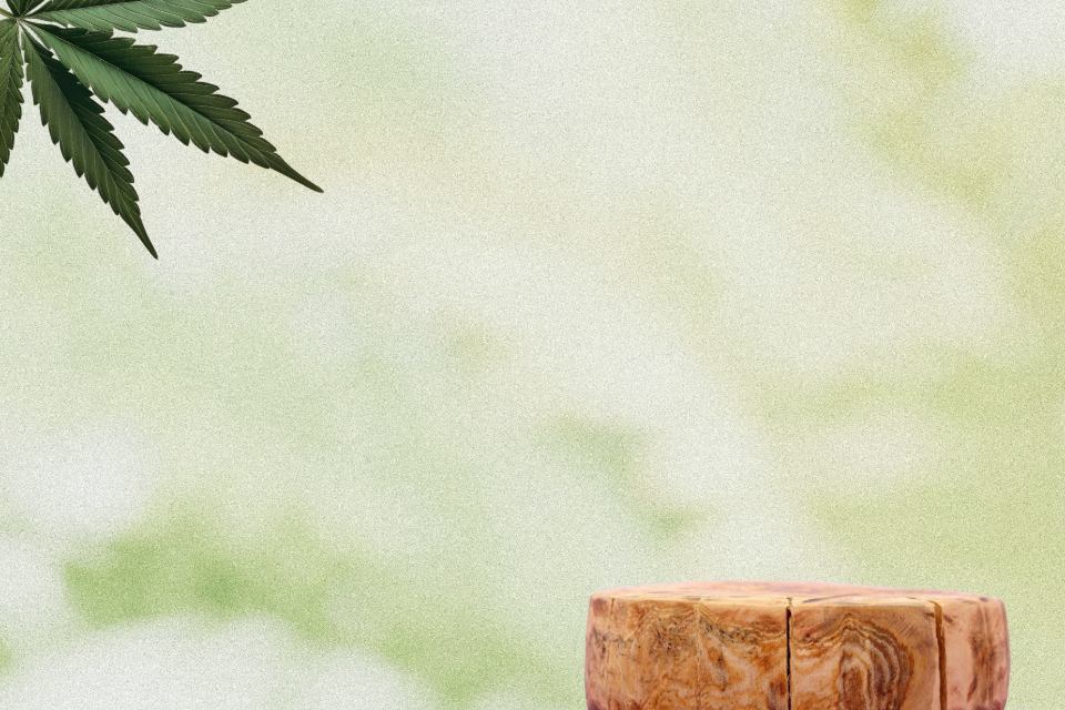Eine Auswahl an Lucky Hemp CBD-Produkten in umweltfreundlichen Verpackungen.