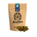 Blueberry Haze Ökopack Blüten Lucky Hemp   