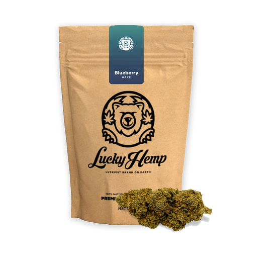 Blueberry Haze Ökopack Blüten Lucky Hemp   