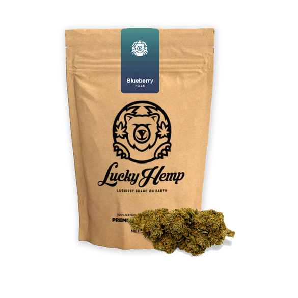 Blueberry Haze Ökopack Blüten Lucky Hemp   