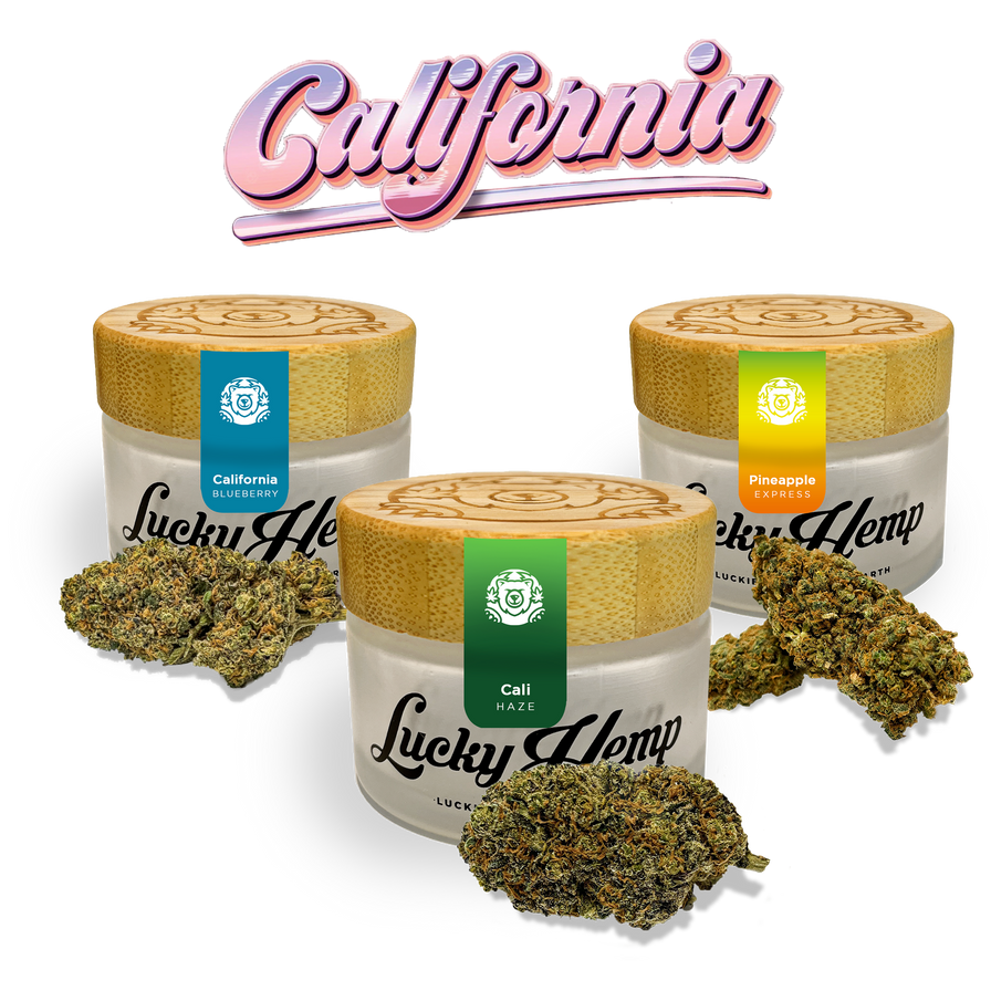 Cali Set Blüten Lucky Hemp   