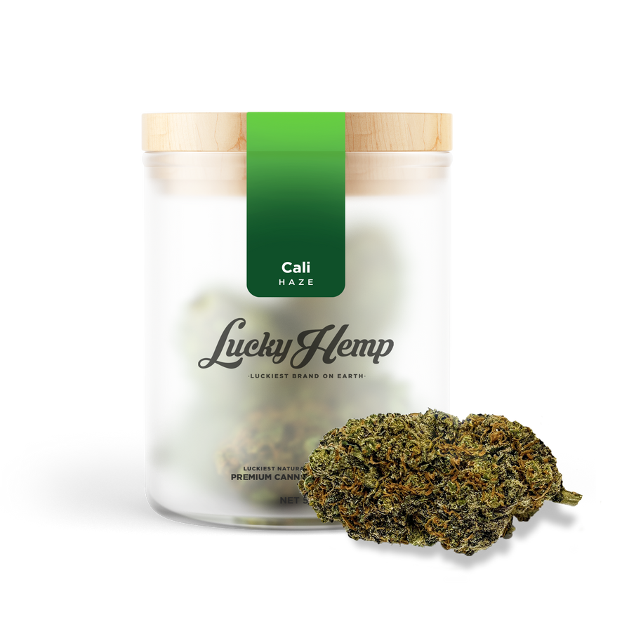 California Haze Blüten Lucky Hemp   