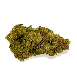 Mango CBG Blüten Lucky Hemp   