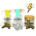 Power Pack Blüten Lucky Hemp   