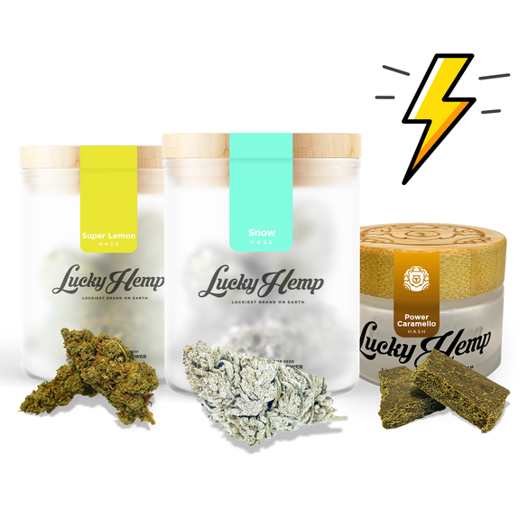 Power Pack Blüten Lucky Hemp   