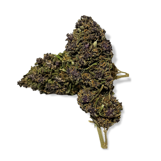 Purple Haze Glas Blüten Lucky Hemp   