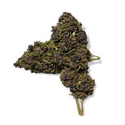 Purple Haze Ökopack Blüten Lucky Hemp   