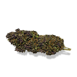 Purple Haze Ökopack Blüten Lucky Hemp   