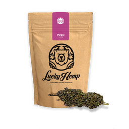 Purple Haze Ökopack Blüten Lucky Hemp   