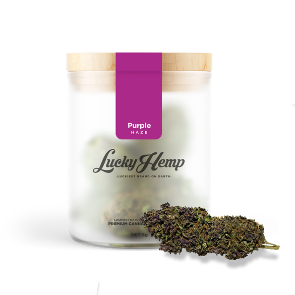 Purple Haze Blüten Lucky Hemp   