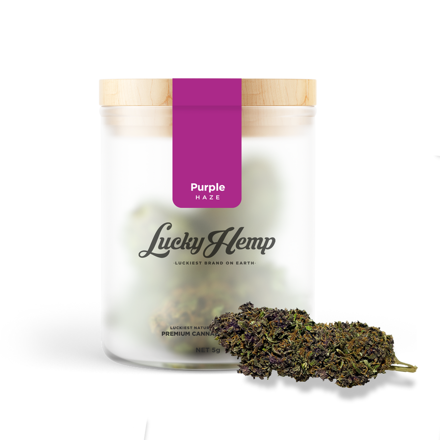 Purple Haze Glas Blüten Lucky Hemp   