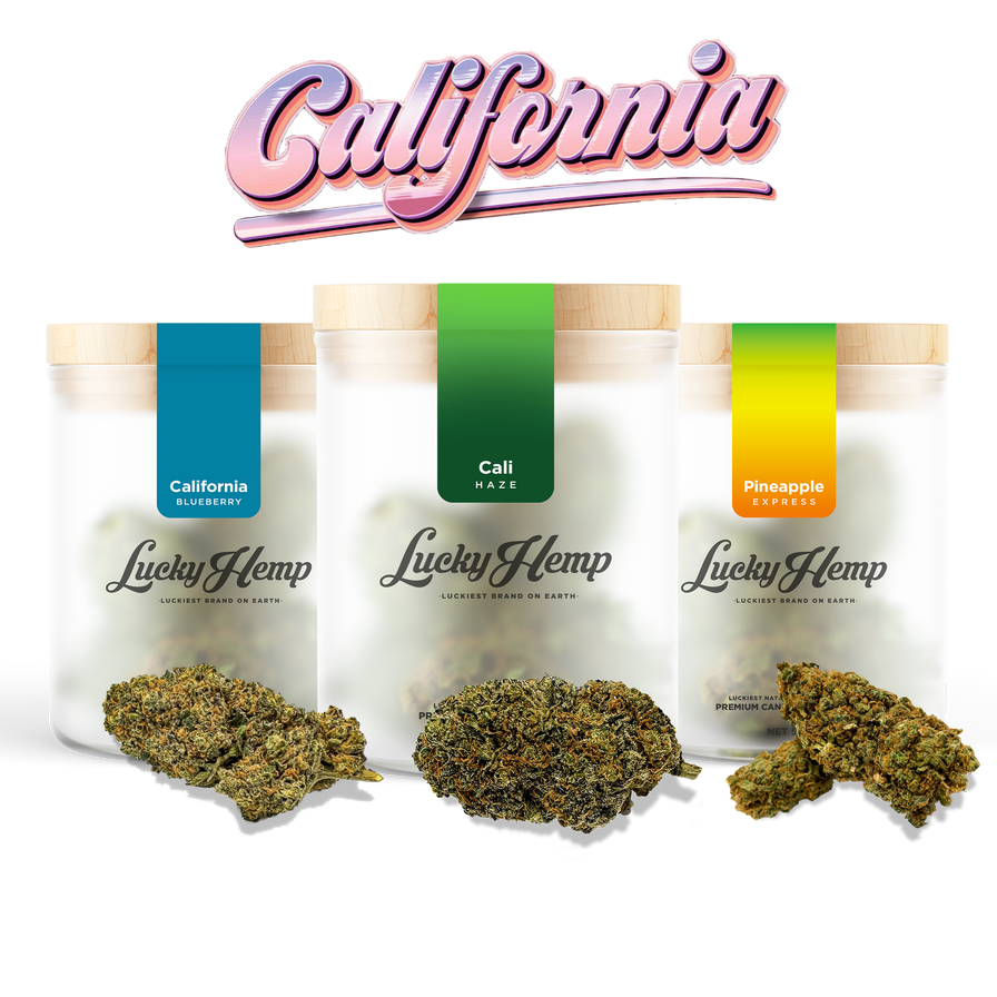 Cali Set Blüten Lucky Hemp   