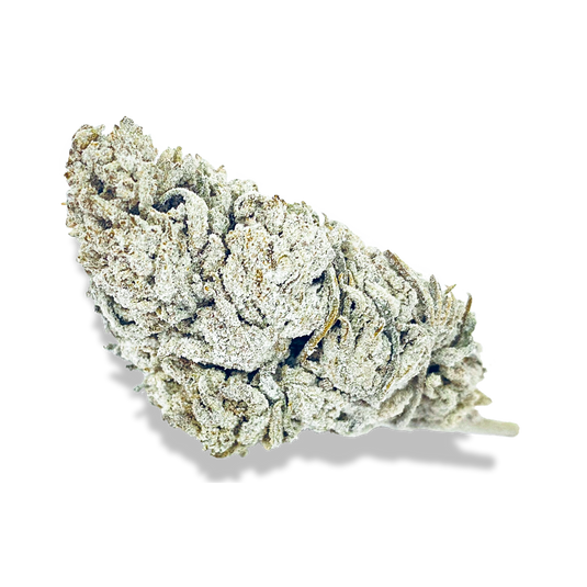 Snow Haze® 50% CBD Glas Blüten Lucky Hemp   