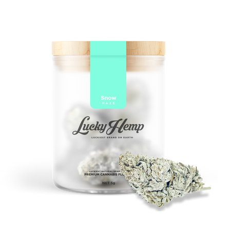 Snow Haze® 41% CBD Blüten Lucky Hemp   