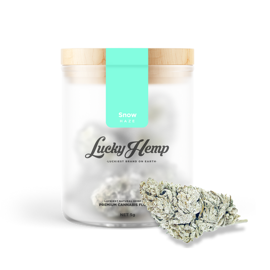 Snow Haze® 50% CBD Glas Blüten Lucky Hemp   